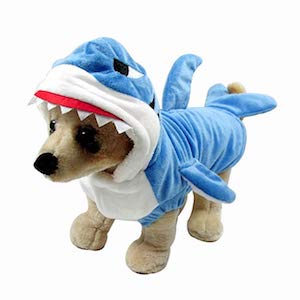 Shark costume for chihuahua
