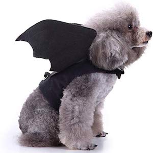 Pet Halloween Costumes for Small Dogs