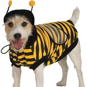 Rubie Bumble Bee Costume for Dogs