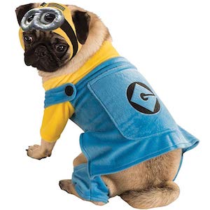 Minions Costume for Pugs