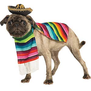 Mexican Serape Dog Costume