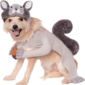 Rubies Squirrel Dog Costume