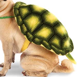 Rubie's Turtle Shell Dog Backpack