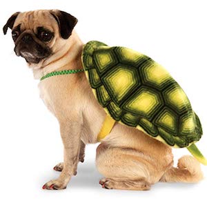 Rubie's Turtle Shell Pet Backpack