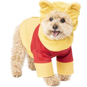 Cute Small Dog Costumes