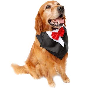 SGODA Dog Wedding Tuxedo