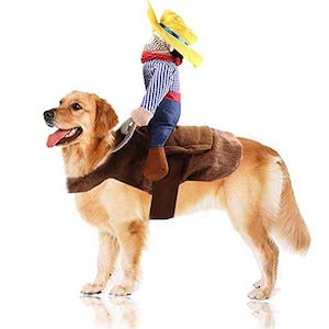 Tiowea Cowboy Rider Dog Dress