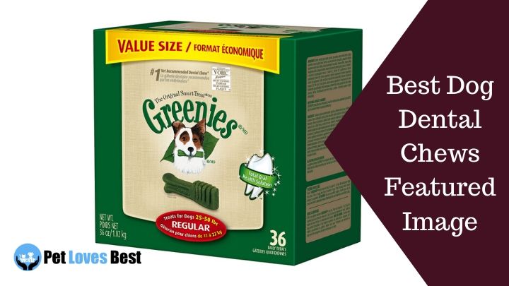 Best Dog Dental Chews Featured Image