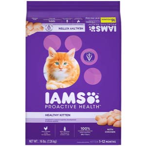 Best Dry Cat food for Kittens