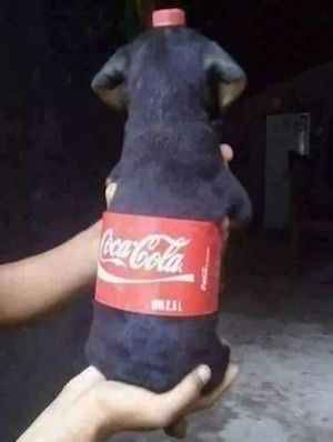 Coca Cola Costume