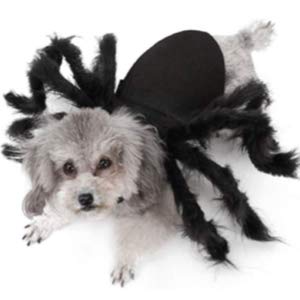 Idepet Pet Spider Halloween Costume for Dog