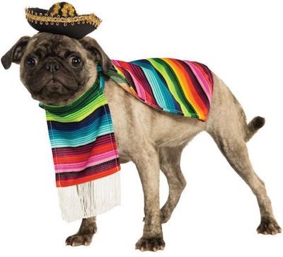 Mexican Serape Costume for Dogs