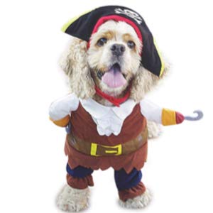 Pet Dog Costume Pirates of The Caribbean Style