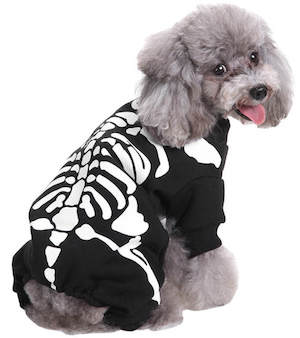 Skeleton costume for dogs