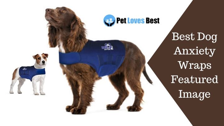 Best Dog Anxiety Wraps Featured Image