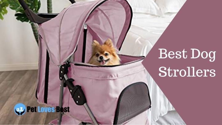 Best Dog Strollers Featured Image