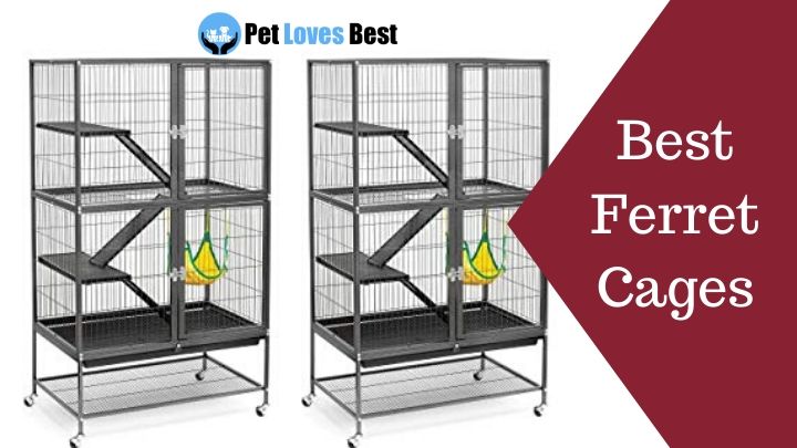 Best Ferret Cages Featured Image