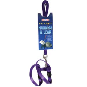 Best Ferret Harness with Leash