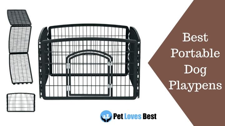 Best Portable Dog Playpens Featured Image
