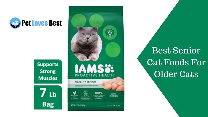 Best Senior Cat Foods For Older Cats Featured Image