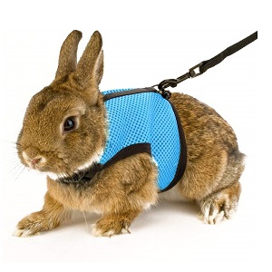 Calunce Small Animal Harness with Leash