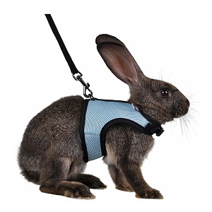 Niteangel Adjustable Harness Leash for Ferrets