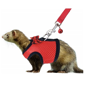 RYPET Small Animal Harness and Leash