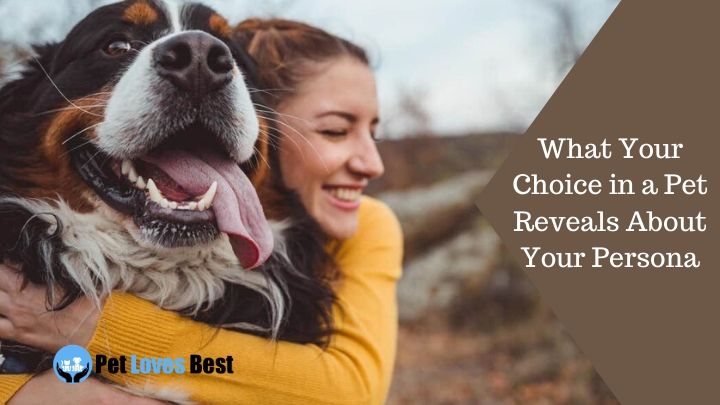 What Your Choice in a Pet Reveals About Your Persona