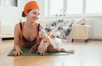 dog doing yoga with his master