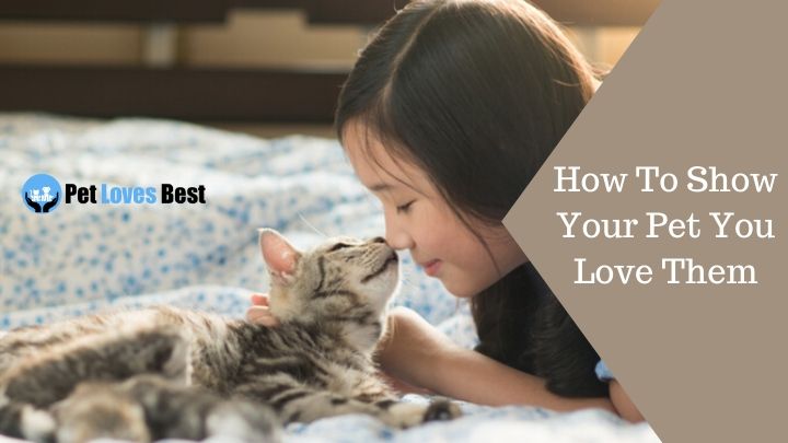 How To Show Your Pet You Love Them Featured Image