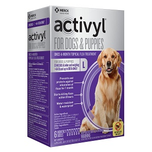 Activyl Flea Treatment for Large Dogs & Puppies