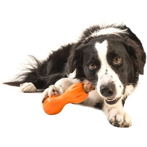Best Chew Toy for Puppies