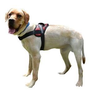 Expawlorer Big Dog Harness