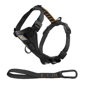 Kurgo Tru-Fit Harness with Seatbelt Tether for Car