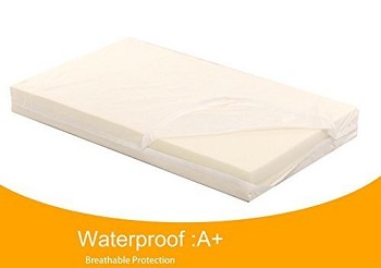 LaiFug Orthopedic Memory Foam Dog Bed- waterproof