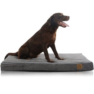 LaiFug Orthopedic Memory Foam Dog Bed