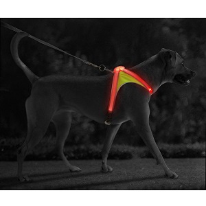 Noxgear Reflective Dog Harness with Multicolored LED
