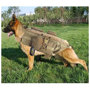 OneTigris Training Dog Vest