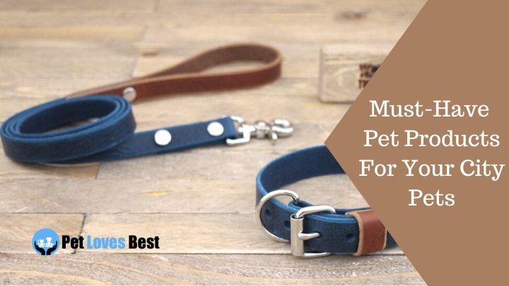 Must-Have Pet Products Featured Image