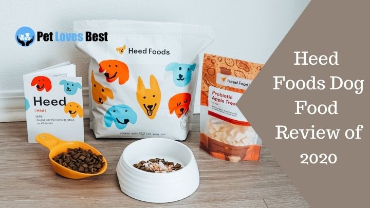 Heed Foods Dog Food Review of 2020 Featured Image