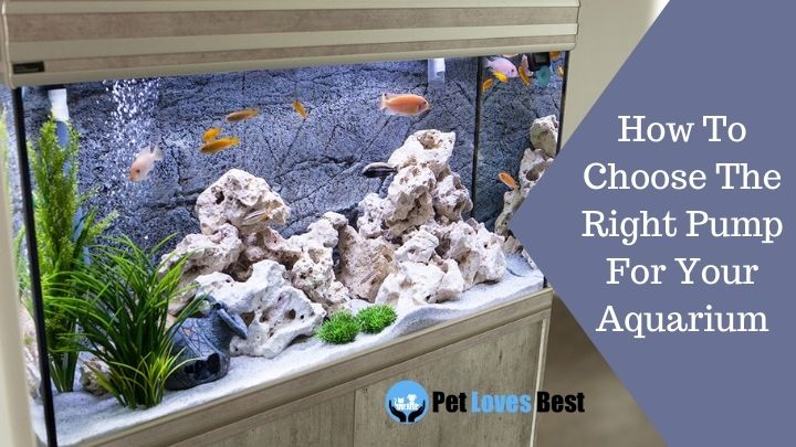How To Choose The Right Pump For Your Aquarium Featured Image