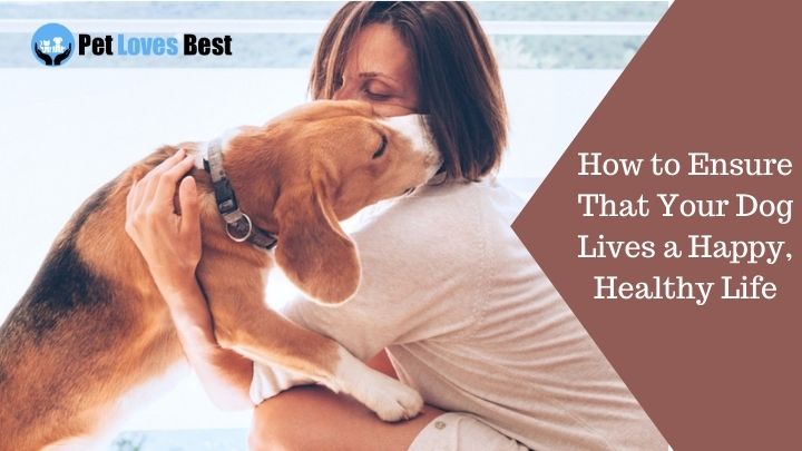 How to Ensure That Your Dog Lives a Happy, Healthy Life Featured Image