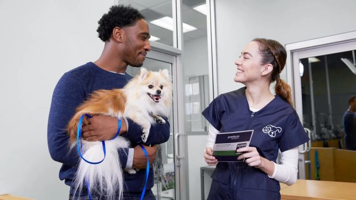 dog grooming process