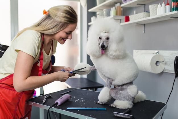 Exploring the Creative and Unusual World of Pet Grooming