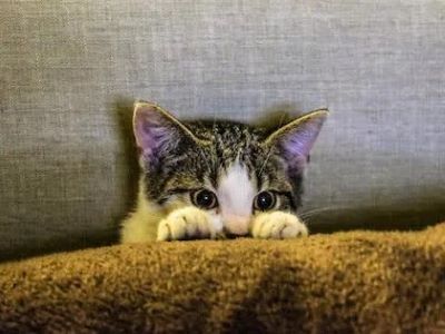 Eyes that speak volumes